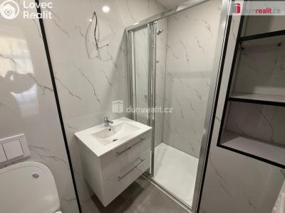 Pronájem bytu 1+KK Mariánské Lázně, Nehrova č. 3