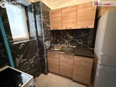 Pronájem bytu 1+KK Mariánské Lázně, Nehrova č. 4