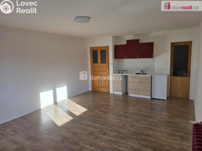 Pronájem bytu 1+KK Frenštát pod Radhoštěm, Rožnovská č. 1