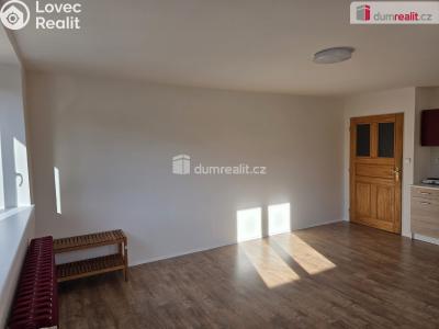 Pronájem bytu 1+KK Frenštát pod Radhoštěm, Rožnovská č. 5