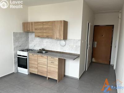 Оренда квартири 1+1 Jirkov, Krušnohorská č. 1