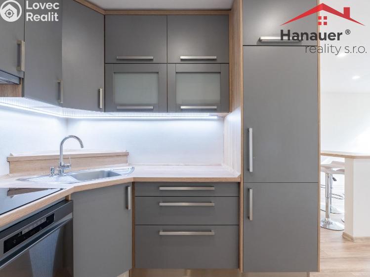 Pronájem bytu 2+KK Chlumec, Alejní č. 2