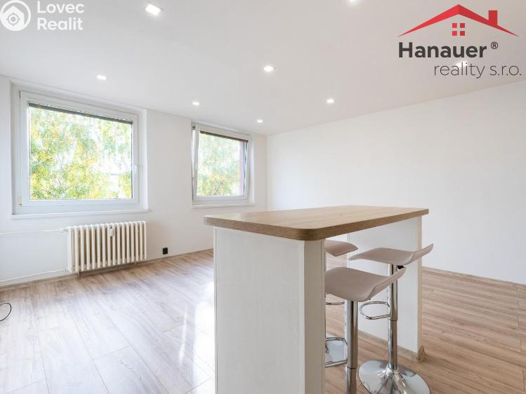 Pronájem bytu 2+KK Chlumec, Alejní č. 3