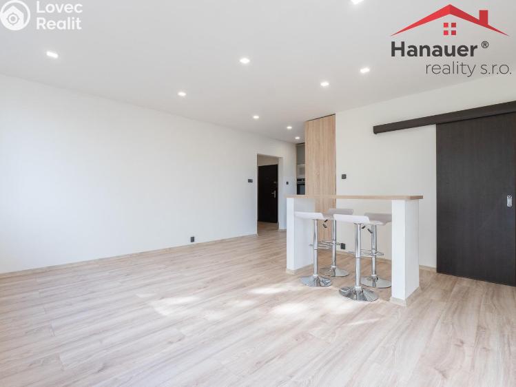 Pronájem bytu 2+KK Chlumec, Alejní č. 4