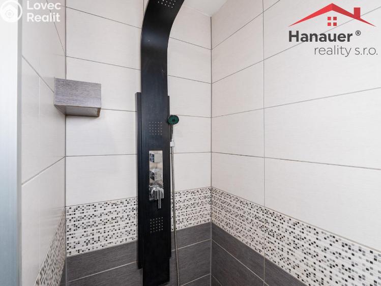 Pronájem bytu 2+KK Chlumec, Alejní č. 6