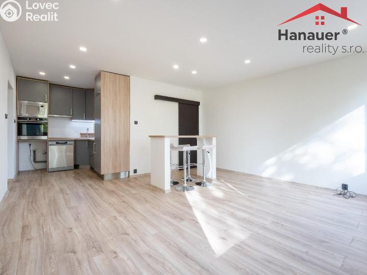 Pronájem bytu 2+KK Chlumec, Alejní č. 10