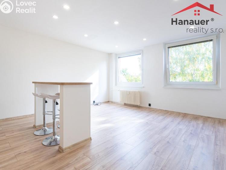 Pronájem bytu 2+KK Chlumec, Alejní č. 11