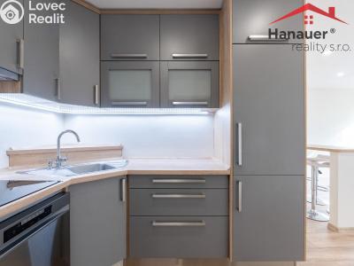 Pronájem bytu 2+KK Chlumec, Alejní č. 2