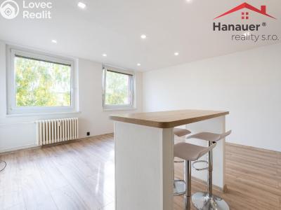 Pronájem bytu 2+KK Chlumec, Alejní č. 3