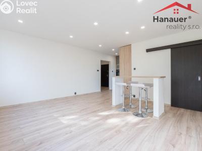 Pronájem bytu 2+KK Chlumec, Alejní č. 4