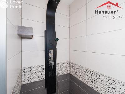 Pronájem bytu 2+KK Chlumec, Alejní č. 6