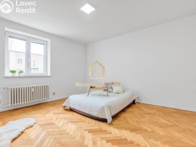 Sale apartment 1+1 Ostrava, Alšovo náměstí č. 4