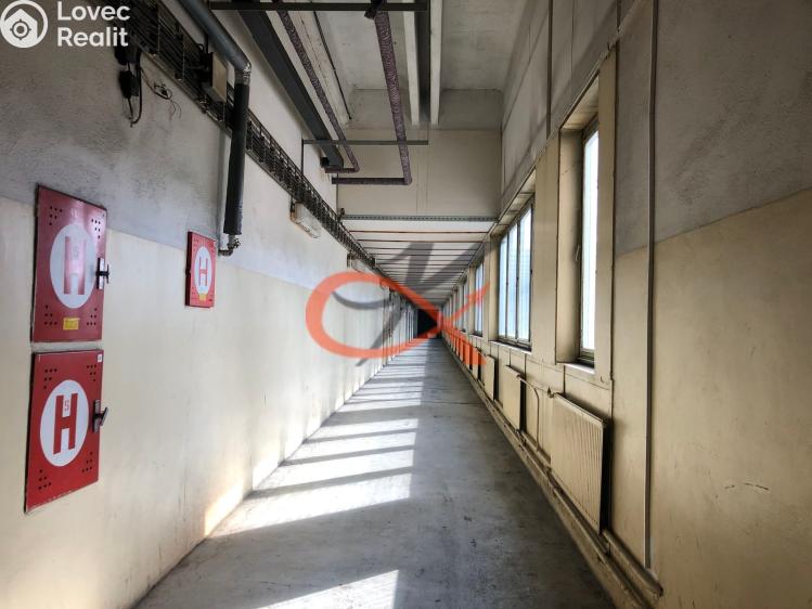 Pronájem komerční nemovitosti Kraslice, Dukelská č. 14