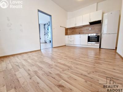 Pronájem bytu 3+KK Brno, Vlhká č. 4