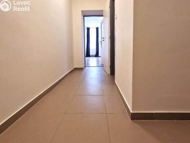 Pronájem bytu 1+KK Brno, Vlhká č. 3