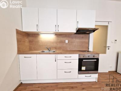 Pronájem bytu 1+KK Brno, Vlhká č. 1