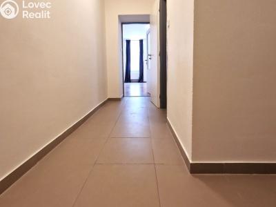 Pronájem bytu 1+KK Brno, Vlhká č. 3