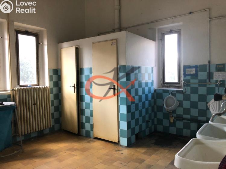 Pronájem komerční nemovitosti Kraslice, Dukelská č. 18