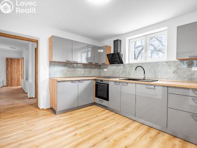 Pronájem bytu 2+1 Břeclav, Mládežnická č. 1