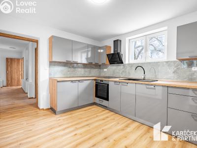 Оренда квартири 2+1 Břeclav, Mládežnická č. 1