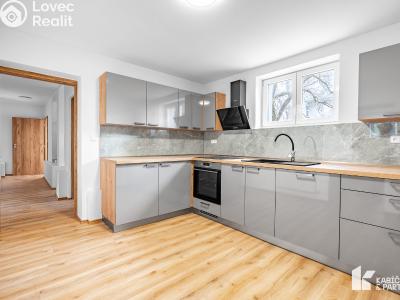 Pronájem bytu 2+1 Břeclav, Mládežnická č. 1