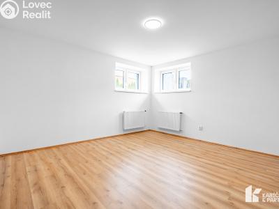 Pronájem bytu 2+1 Břeclav, Mládežnická č. 2