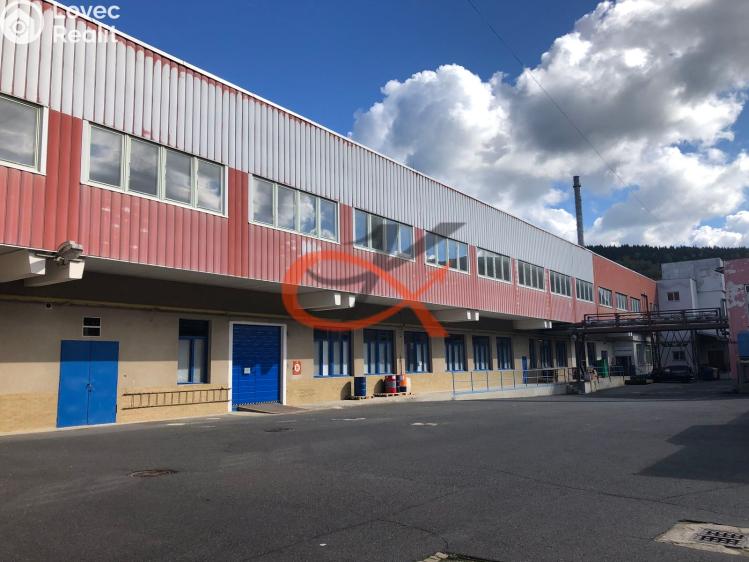 Rent office space Kraslice, Dukelská č. 14