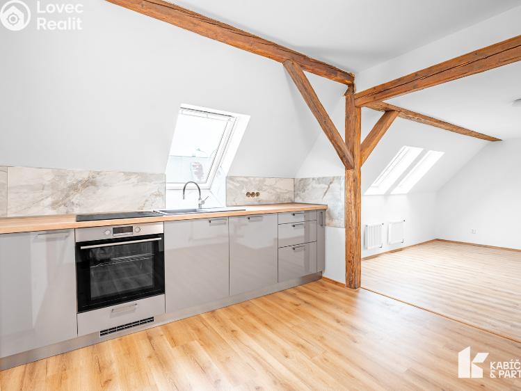 Rent apartment 3+KK Břeclav, Mládežnická č. 1