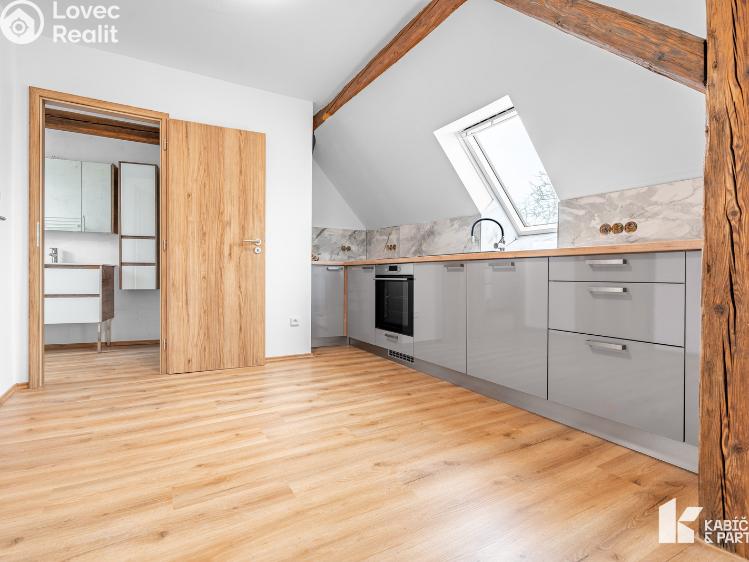 Rent apartment 3+KK Břeclav, Mládežnická č. 2