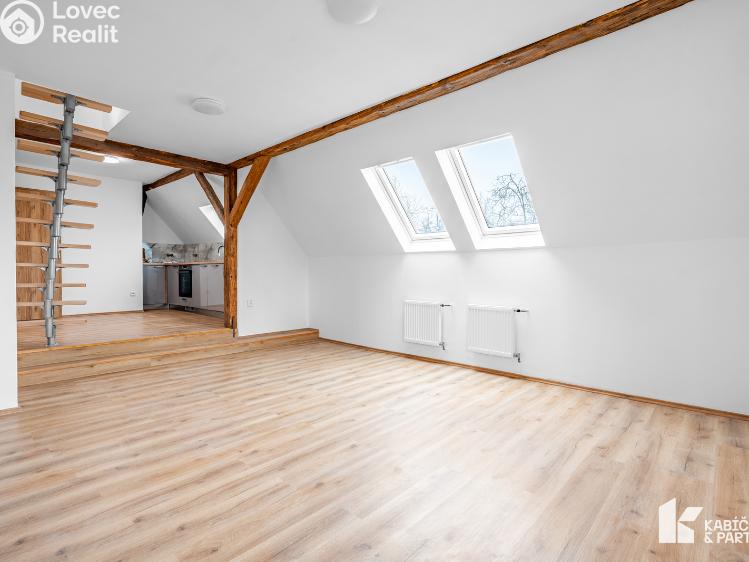 Rent apartment 3+KK Břeclav, Mládežnická č. 4