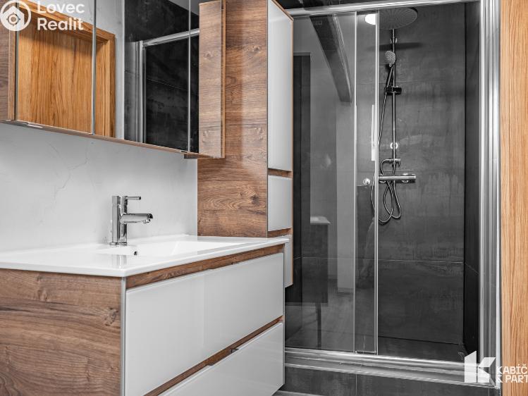 Rent apartment 3+KK Břeclav, Mládežnická č. 12