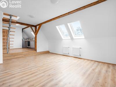 Pronájem bytu 3+KK Břeclav, Mládežnická č. 4