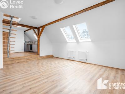 Оренда квартири 3+KK Břeclav, Mládežnická č. 4