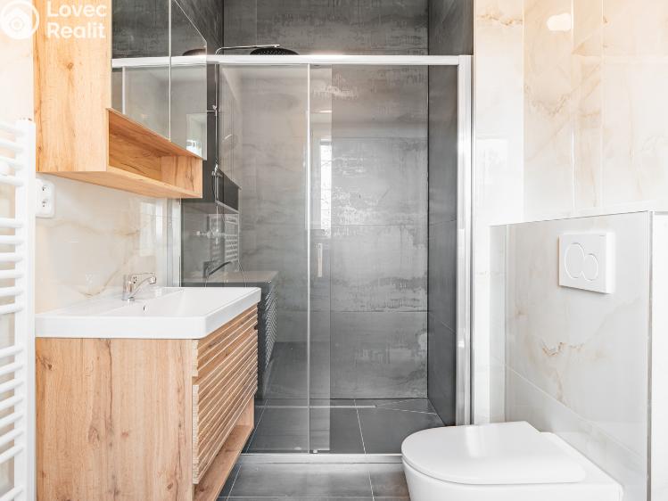 Pronájem bytu 2+1 Břeclav, Mládežnická č. 9