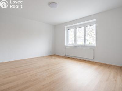 Pronájem bytu 2+1 Břeclav, Mládežnická č. 4