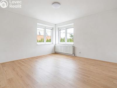 Pronájem bytu 2+1 Břeclav, Mládežnická č. 5