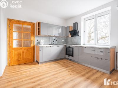 Pronájem bytu 2+1 Břeclav, Mládežnická č. 1