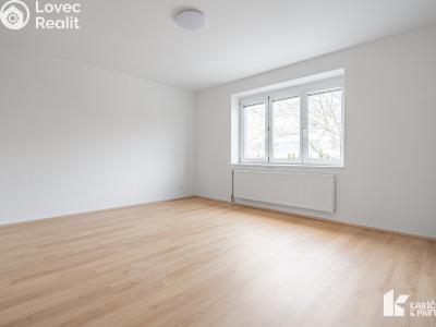 Pronájem bytu 2+1 Břeclav, Mládežnická č. 4