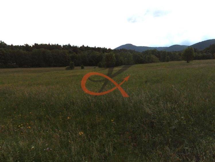 Prodej rodinného domu Trojanovice č. 14