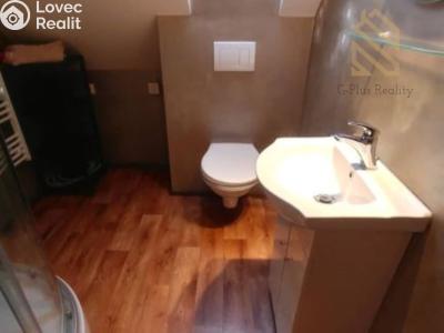 Pronájem bytu 2+KK Jimlín č. 4