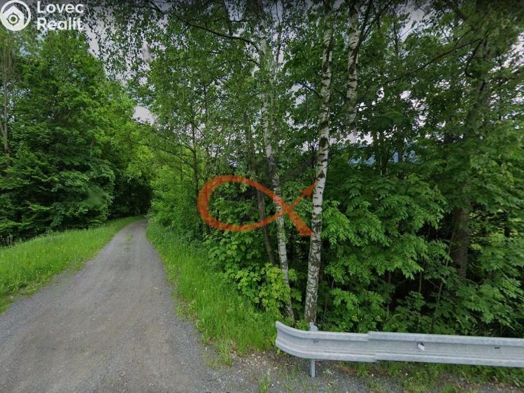 Sale family house Trojanovice č. 12