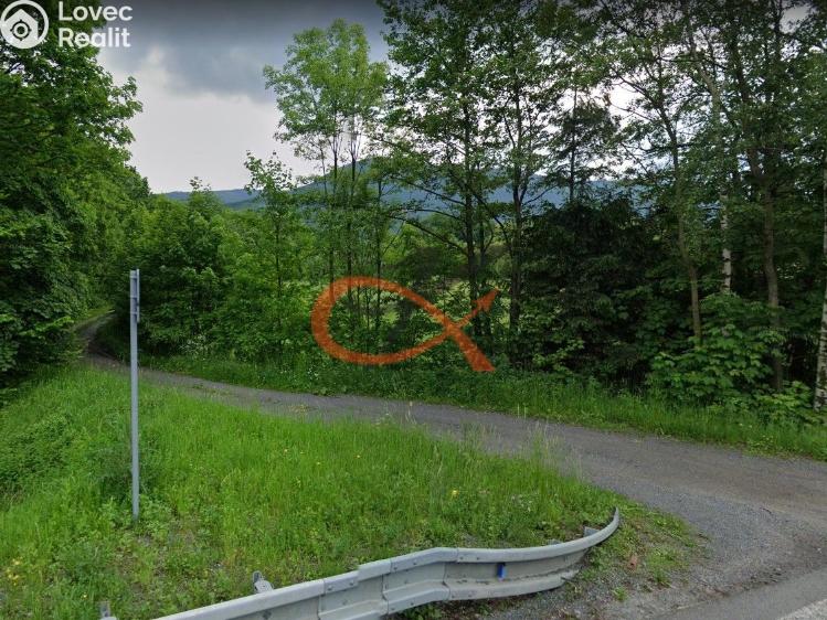 Sale family house Trojanovice č. 13