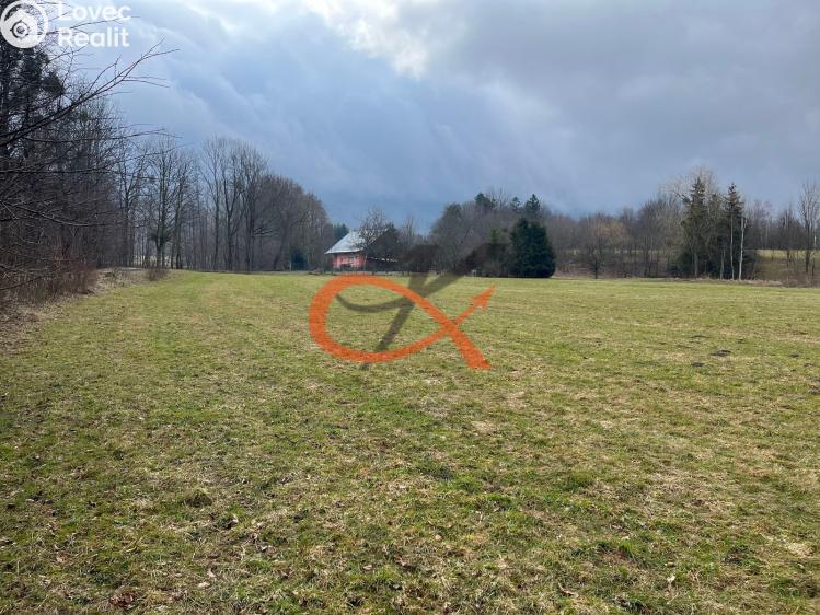 Sale family house Trojanovice č. 20