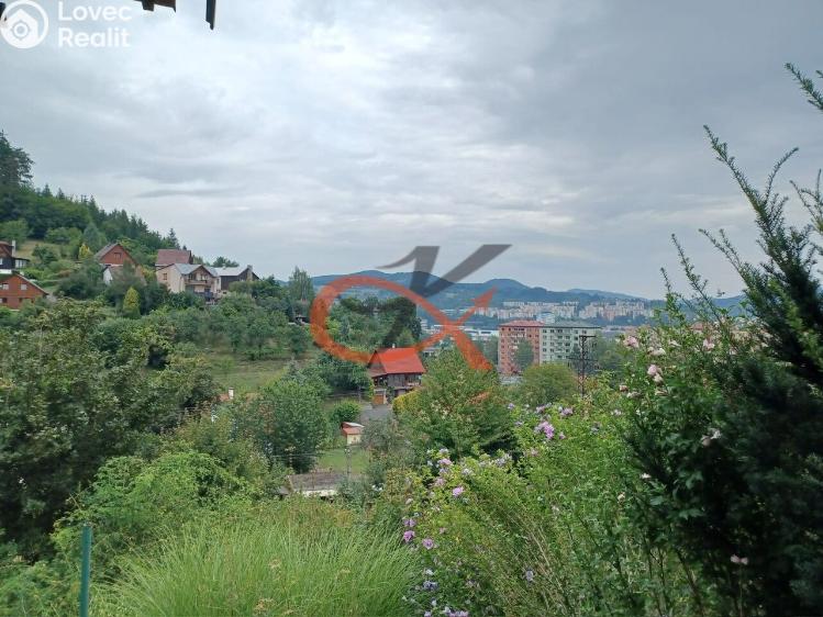 Sale hut Vsetín č. 8