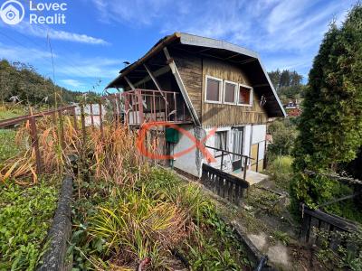 Sale hut Vsetín č. 4