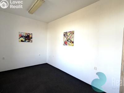 Pronájem komerční nemovitosti Kamenný Újezd č. 2