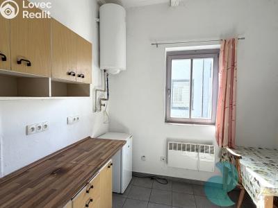 Rent commercial properties Kamenný Újezd č. 3