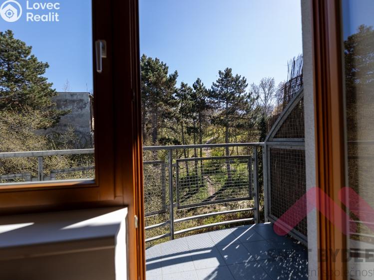 Pronájem bytu 2+KK Praha, Jeseniova 686/28 č. 6