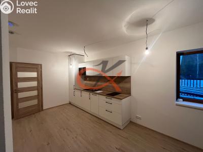 Pronájem bytu 3+KK Horní Bečva č. 3