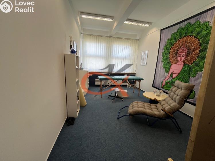 Оренда офісного приміщення Rožnov pod Radhoštěm, 1. máje č. 2